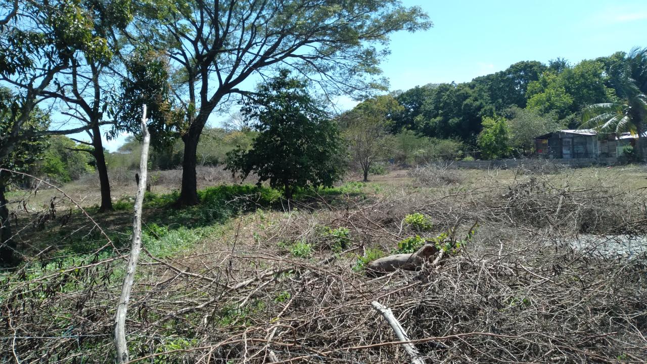 Residential-Lot-for-Sale-in-Palmetto-Pen-Clarendon-Ideal-for-Investment Nineteenth image of Lot-55 Palmetto Pen in Palmetto Pen, Clarendon, Jamaica - property is For Sale
