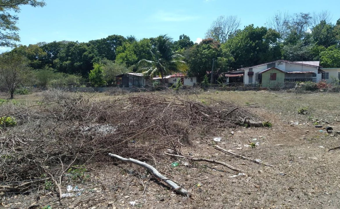 Twentieth image of Lot-55 Palmetto Pen in Palmetto Pen, Clarendon, Jamaica - property is For Sale