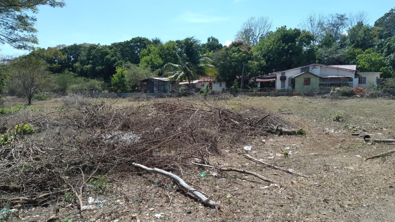 Residential-Lot-for-Sale-in-Palmetto-Pen-Clarendon-Ideal-for-Investment Twentieth image of Lot-55 Palmetto Pen in Palmetto Pen, Clarendon, Jamaica - property is For Sale