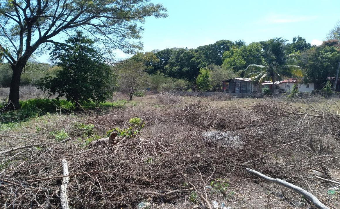Third image of Lot-55 Palmetto Pen in Palmetto Pen, Clarendon, Jamaica - property is For Sale