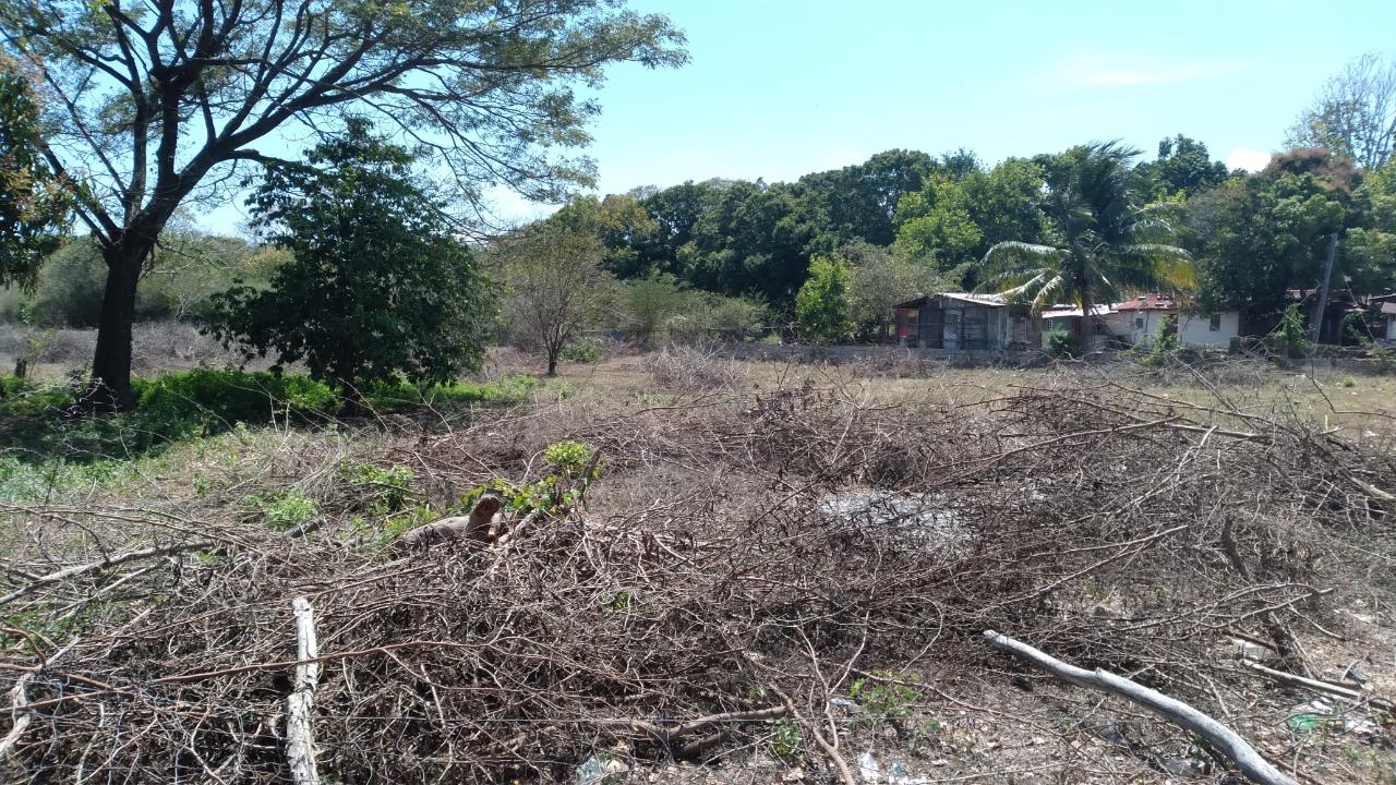 Residential-Lot-for-Sale-in-Palmetto-Pen-Clarendon-Ideal-for-Investment Third image of Lot-55 Palmetto Pen in Palmetto Pen, Clarendon, Jamaica - property is For Sale