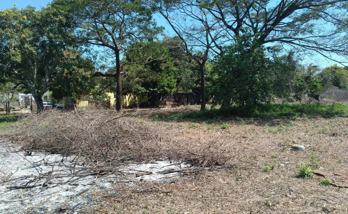 Twenty-First image of Lot-55 Palmetto Pen in Palmetto Pen, Clarendon, Jamaica - property is For Sale