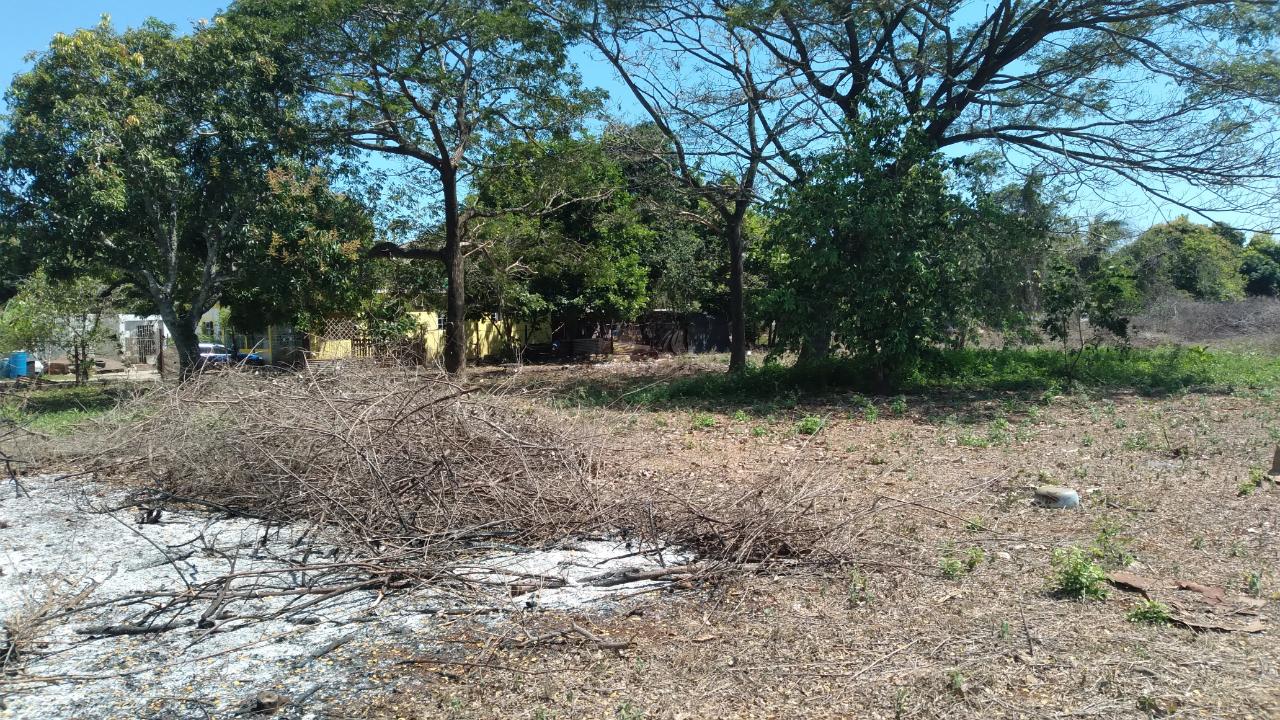 Residential-Lot-for-Sale-in-Palmetto-Pen-Clarendon-Ideal-for-Investment Twenty-First image of Lot-55 Palmetto Pen in Palmetto Pen, Clarendon, Jamaica - property is For Sale