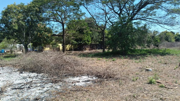 Twenty-First image of Lot-55 Palmetto Pen in Palmetto Pen, Clarendon, Jamaica - property is For Sale