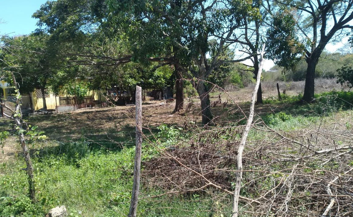 Fourth image of Lot-55 Palmetto Pen in Palmetto Pen, Clarendon, Jamaica - property is For Sale