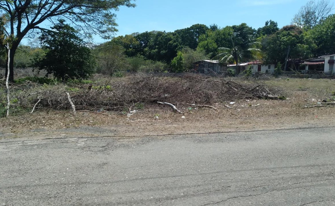 Fifth image of Lot-55 Palmetto Pen in Palmetto Pen, Clarendon, Jamaica - property is For Sale