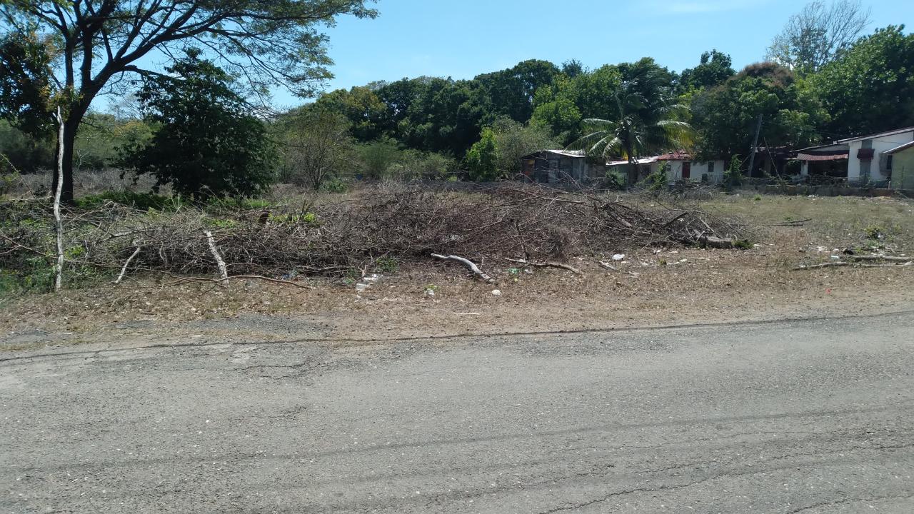 Residential-Lot-for-Sale-in-Palmetto-Pen-Clarendon-Ideal-for-Investment Fifth image of Lot-55 Palmetto Pen in Palmetto Pen, Clarendon, Jamaica - property is For Sale