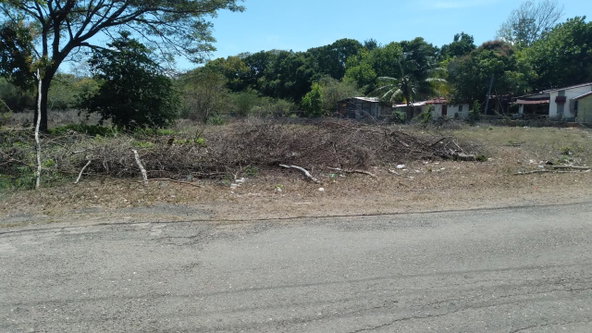 Fifth image of Lot-55 Palmetto Pen in Palmetto Pen, Clarendon, Jamaica - property is For Sale