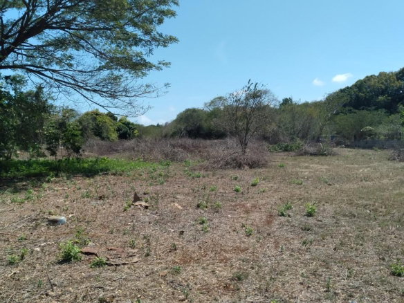 First image of Lot-55 Palmetto Pen in Palmetto Pen, Clarendon, Jamaica - property is For Sale