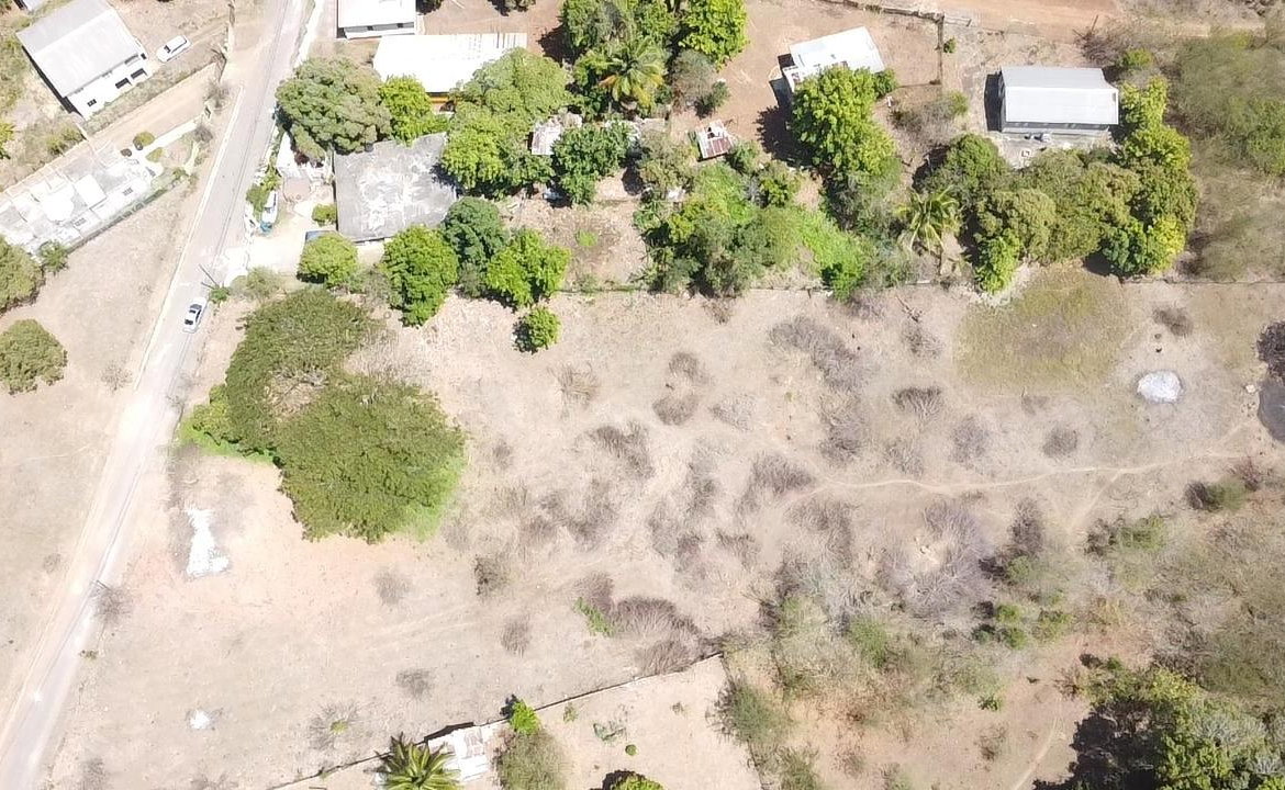 Ninth image of Lot-55 Palmetto Pen in Palmetto Pen, Clarendon, Jamaica - property is For Sale
