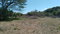 First image of Lot-55 Palmetto Pen in Palmetto Pen, Clarendon, Jamaica - property is For Sale
