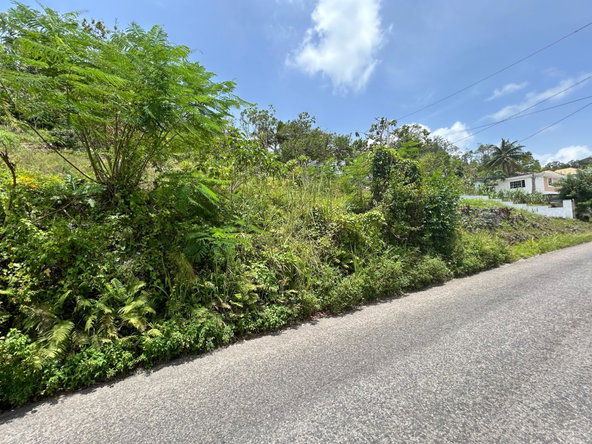 Second image of Orange Valley, Philadelph in Browns Town, St. Ann, Jamaica - property is For Sale