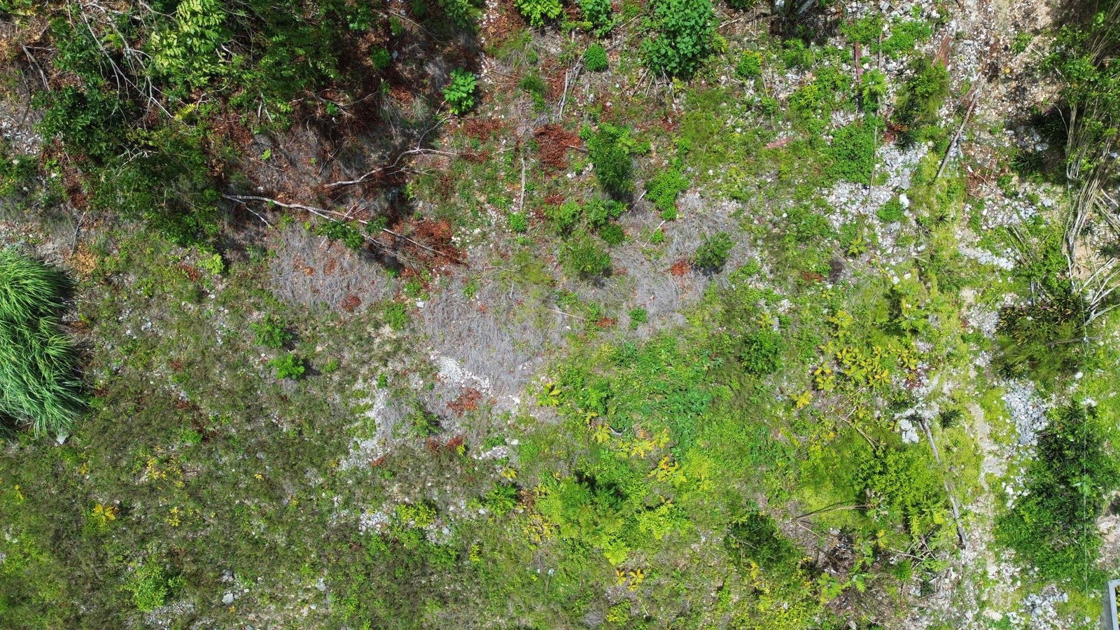 Eleventh image of Orange Valley, Philadelph in Browns Town, St. Ann, Jamaica - property is For Sale