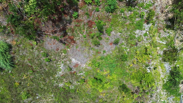 Eleventh image of Orange Valley, Philadelph in Browns Town, St. Ann, Jamaica - property is For Sale