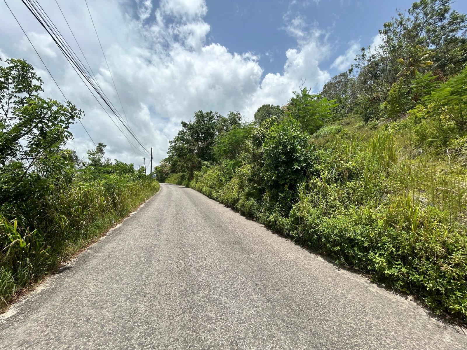 Third image of Orange Valley, Philadelph in Browns Town, St. Ann, Jamaica - property is For Sale