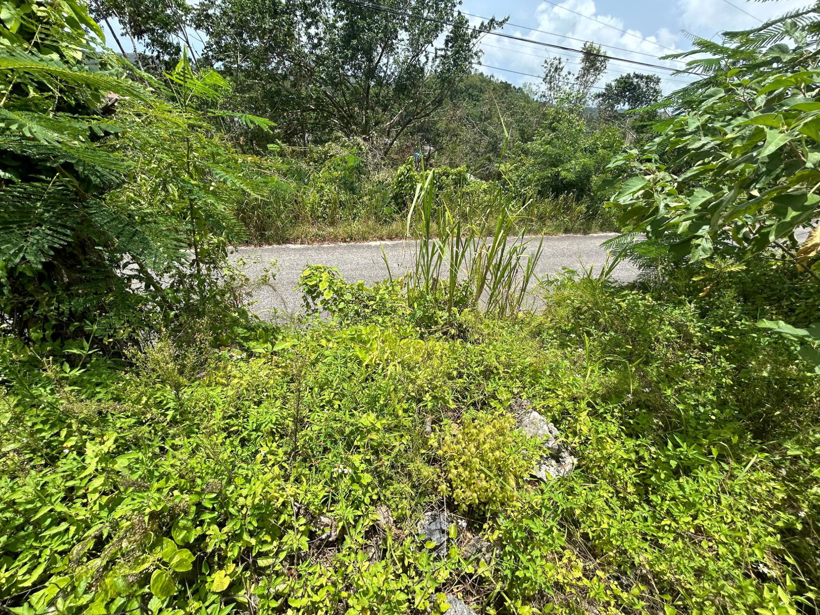 Fourth image of Orange Valley, Philadelph in Browns Town, St. Ann, Jamaica - property is For Sale
