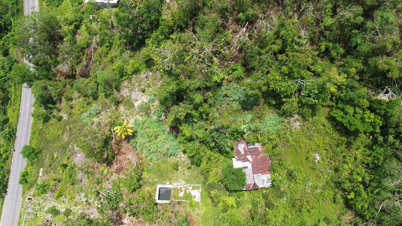 Seventh image of Orange Valley, Philadelph in Browns Town, St. Ann, Jamaica - property is For Sale
