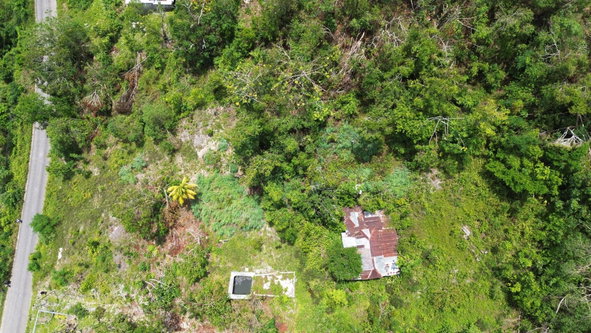 Seventh image of Orange Valley, Philadelph in Browns Town, St. Ann, Jamaica - property is For Sale