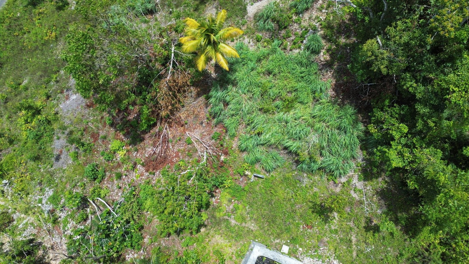 Eighth image of Orange Valley, Philadelph in Browns Town, St. Ann, Jamaica - property is For Sale