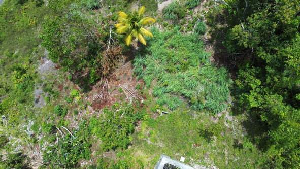 Eighth image of Orange Valley, Philadelph in Browns Town, St. Ann, Jamaica - property is For Sale