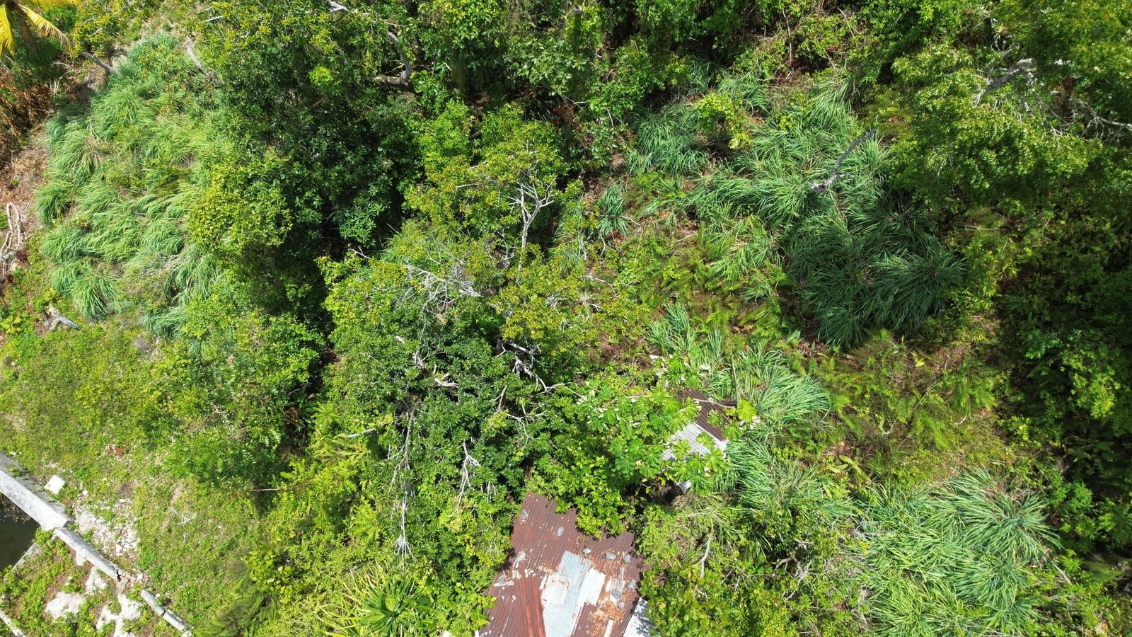 Ninth image of Orange Valley, Philadelph in Browns Town, St. Ann, Jamaica - property is For Sale