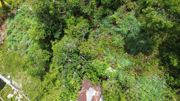 Ninth image of Orange Valley, Philadelph in Browns Town, St. Ann, Jamaica - property is For Sale