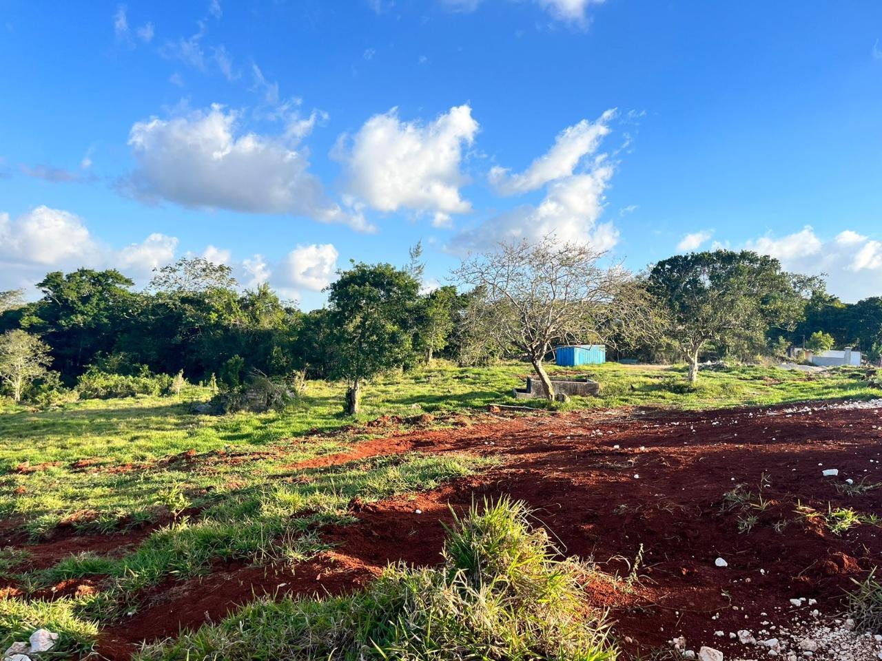 Residential-Lot-for-Sale-in-Pine-Grove-Estate-Manchester-Jamaica Second image of 22 Pine Grove Close in Knockpatirck, Manchester, Jamaica - property is For Sale