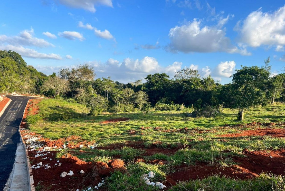 First image of 22 Pine Grove Close in Knockpatirck, Manchester, Jamaica - property is For Sale