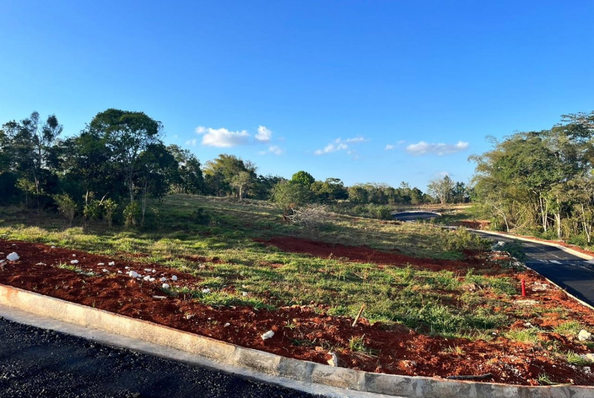 Fifth image of 22 Pine Grove Close in Knockpatirck, Manchester, Jamaica - property is For Sale