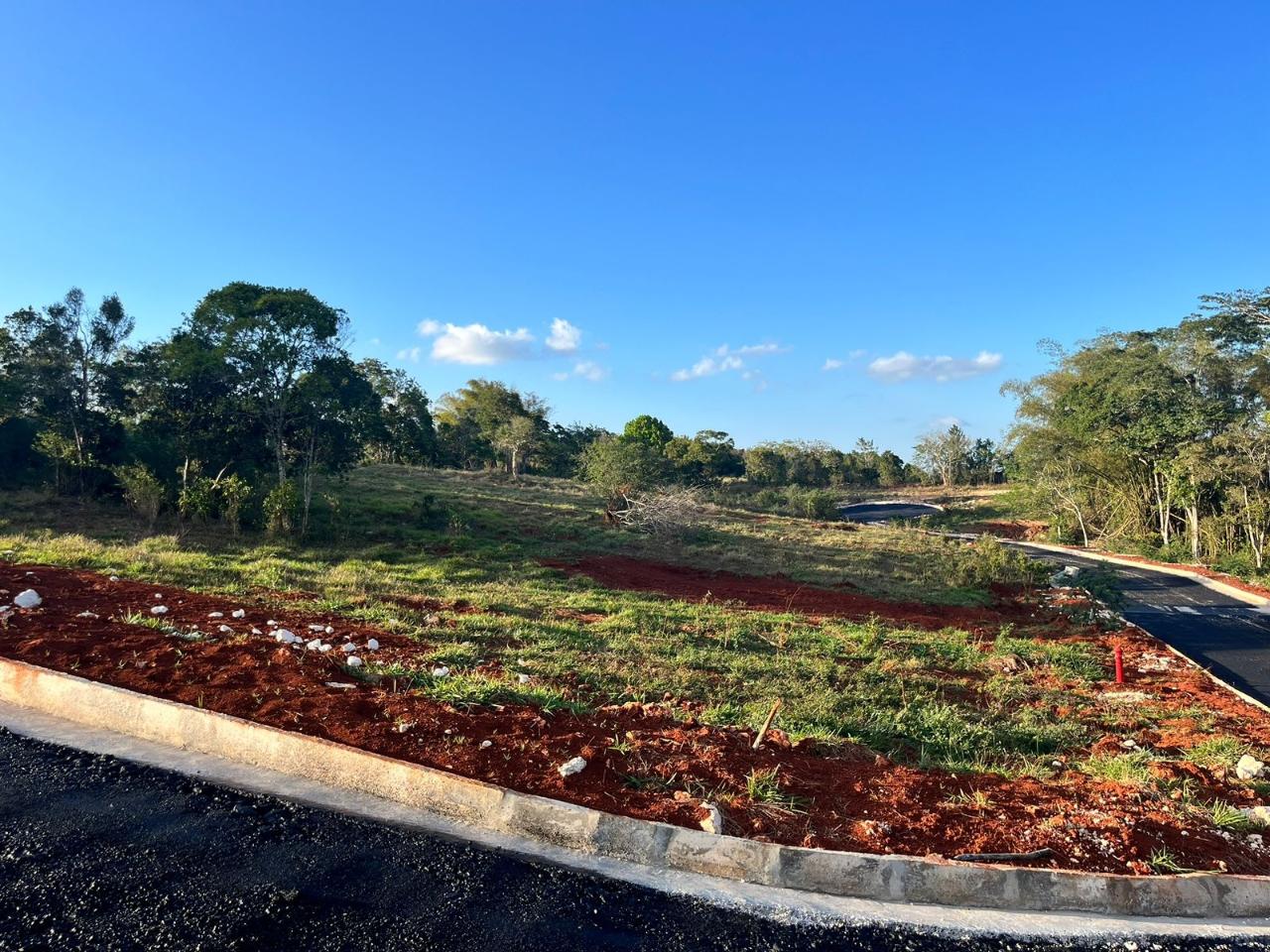 Residential-Lot-for-Sale-in-Pine-Grove-Estate-Manchester-Jamaica Fifth image of 22 Pine Grove Close in Knockpatirck, Manchester, Jamaica - property is For Sale
