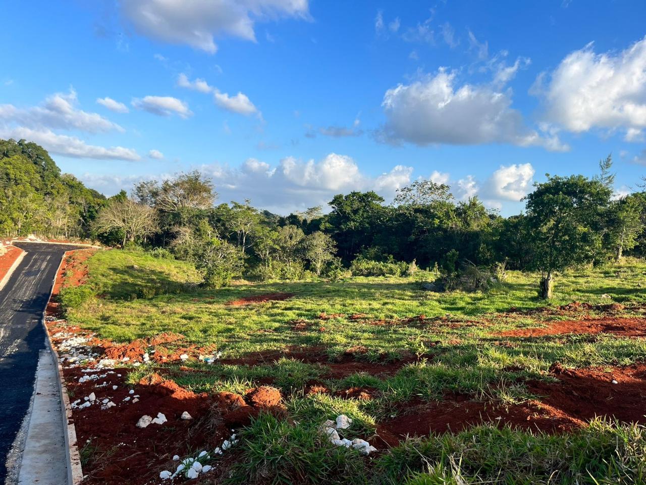 Residential-Lot-for-Sale-in-Pine-Grove-Estate-Manchester-Jamaica First image of 22 Pine Grove Close in Knockpatirck, Manchester, Jamaica - property is For Sale