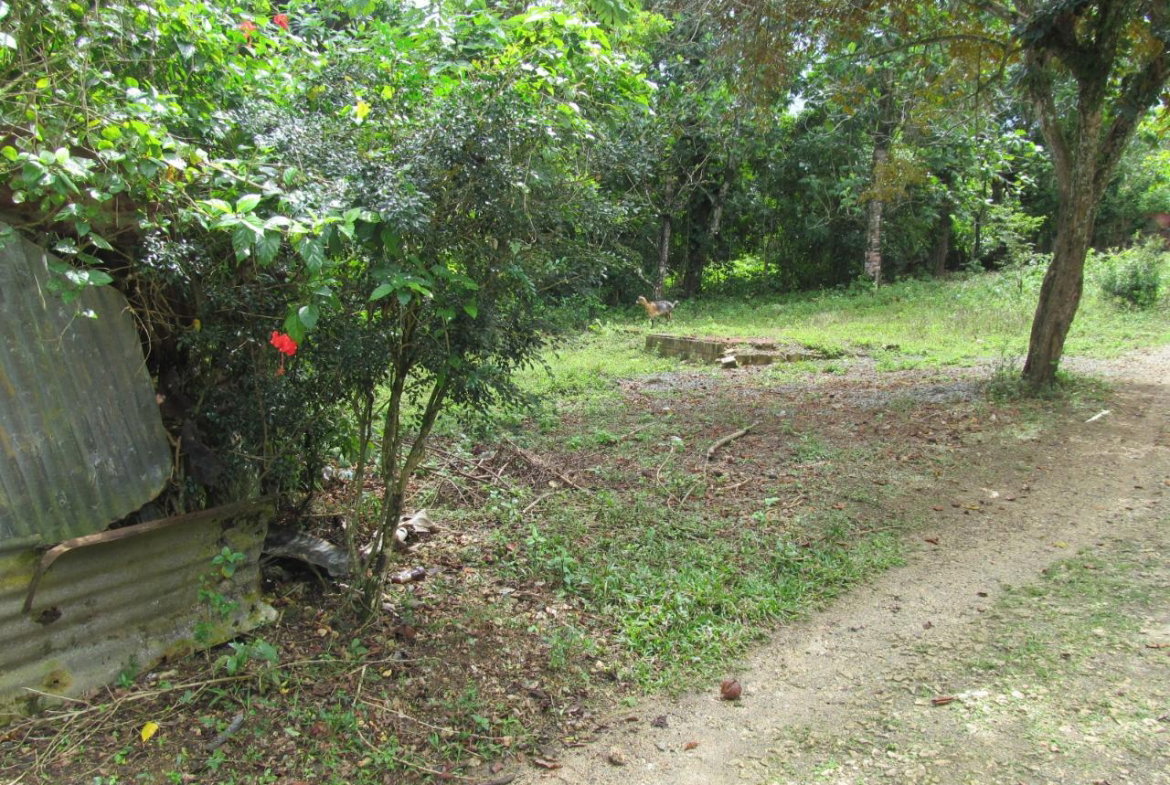 Third image of Barracks, Manchioneal in Manchioneal, Portland, Jamaica - property is For Sale