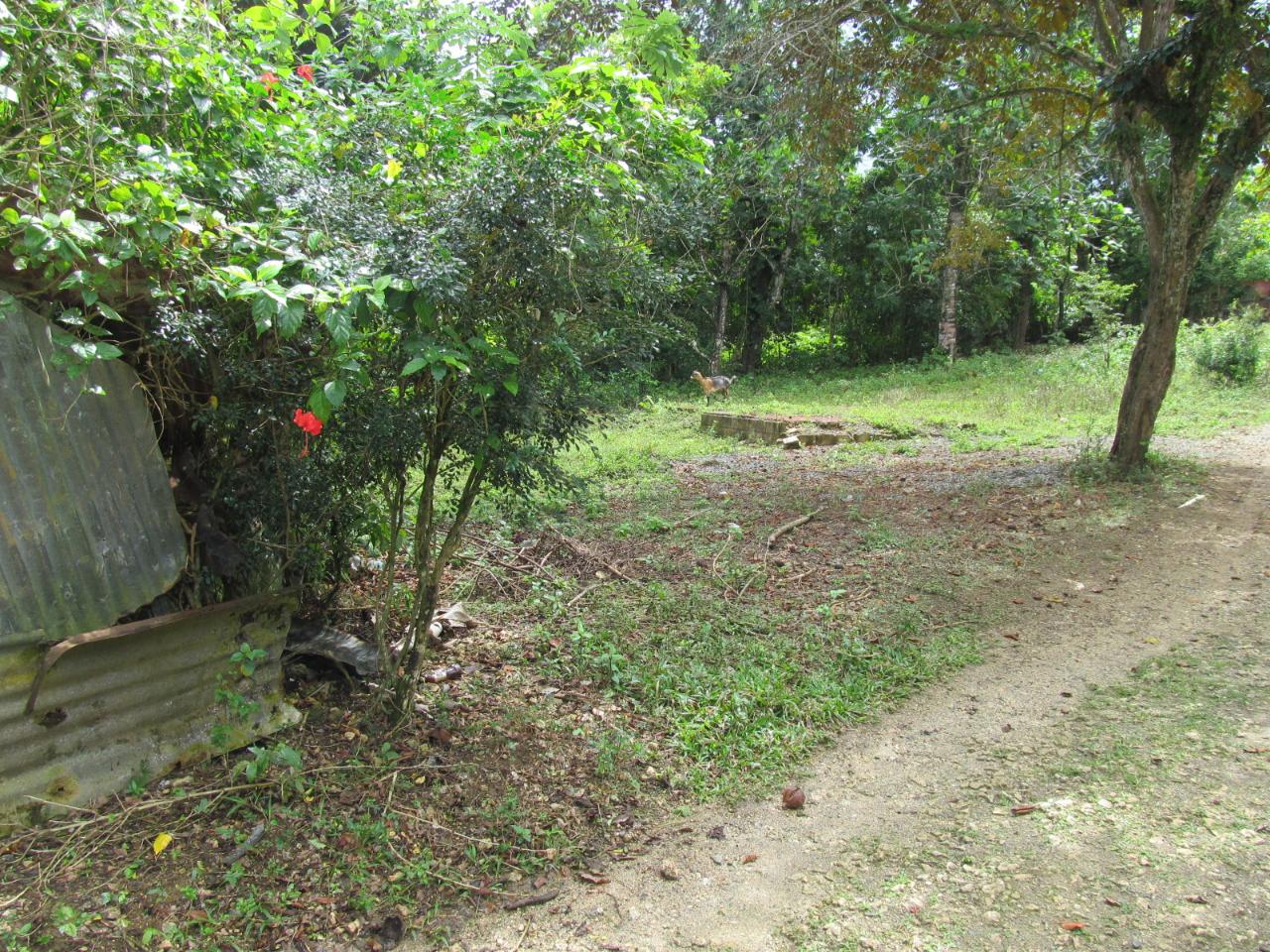 Third image of Barracks, Manchioneal in Manchioneal, Portland, Jamaica - property is For Sale