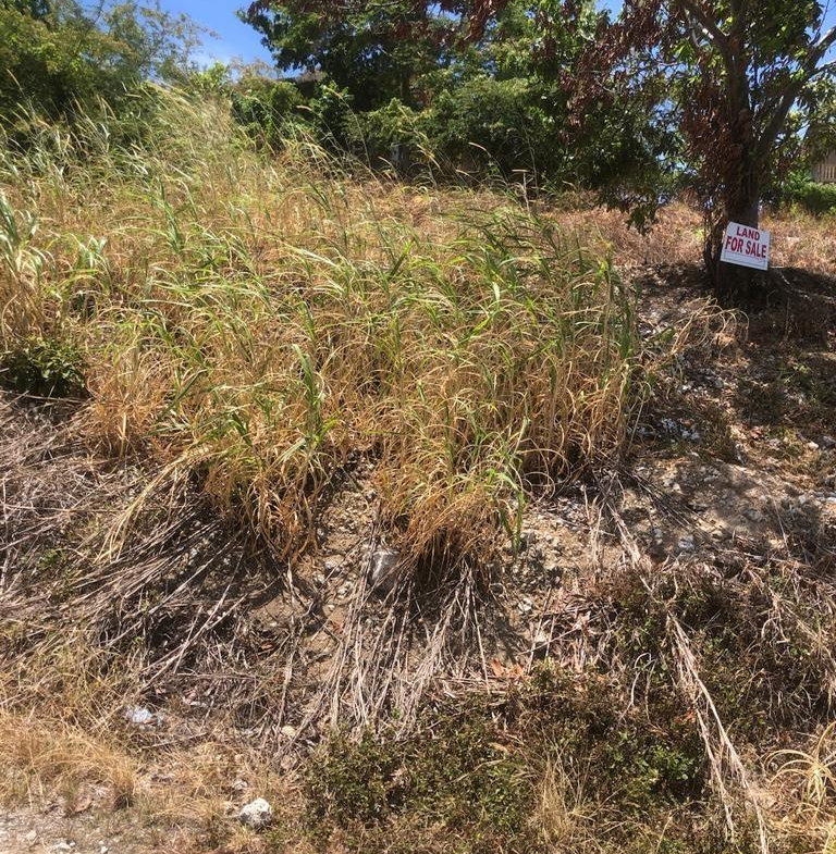 Second image of Lot 200 Walber Avenue, Norwich, p in Port Antonio, Portland, Jamaica - property is For Sale