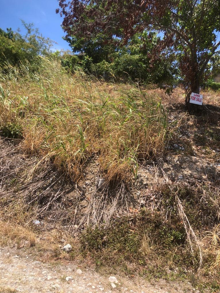 Second image of Lot 200 Walber Avenue, Norwich, p in Port Antonio, Portland, Jamaica - property is For Sale