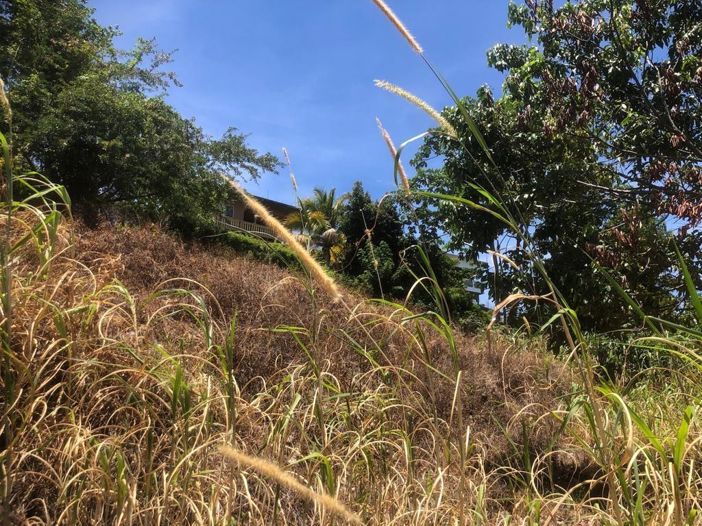 Third image of Lot 200 Walber Avenue, Norwich, p in Port Antonio, Portland, Jamaica - property is For Sale