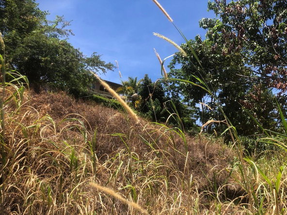 Third image of Lot 200 Walber Avenue, Norwich, p in Port Antonio, Portland, Jamaica - property is For Sale