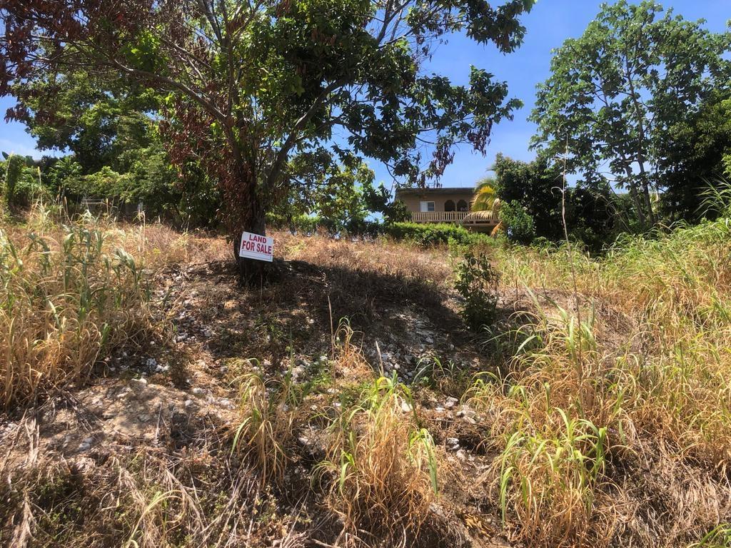 First image of Lot 200 Walber Avenue, Norwich, p in Port Antonio, Portland, Jamaica - property is For Sale