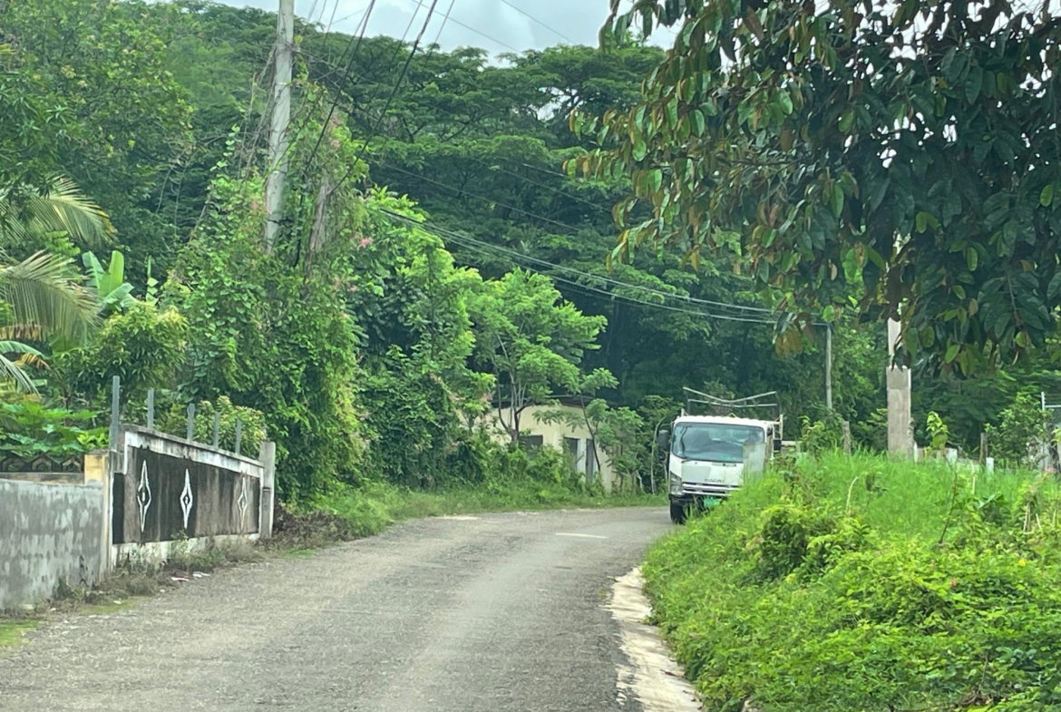 Thirteenth image of Porus Clarks Town Road in Porus, Manchester, Jamaica - property is For Sale