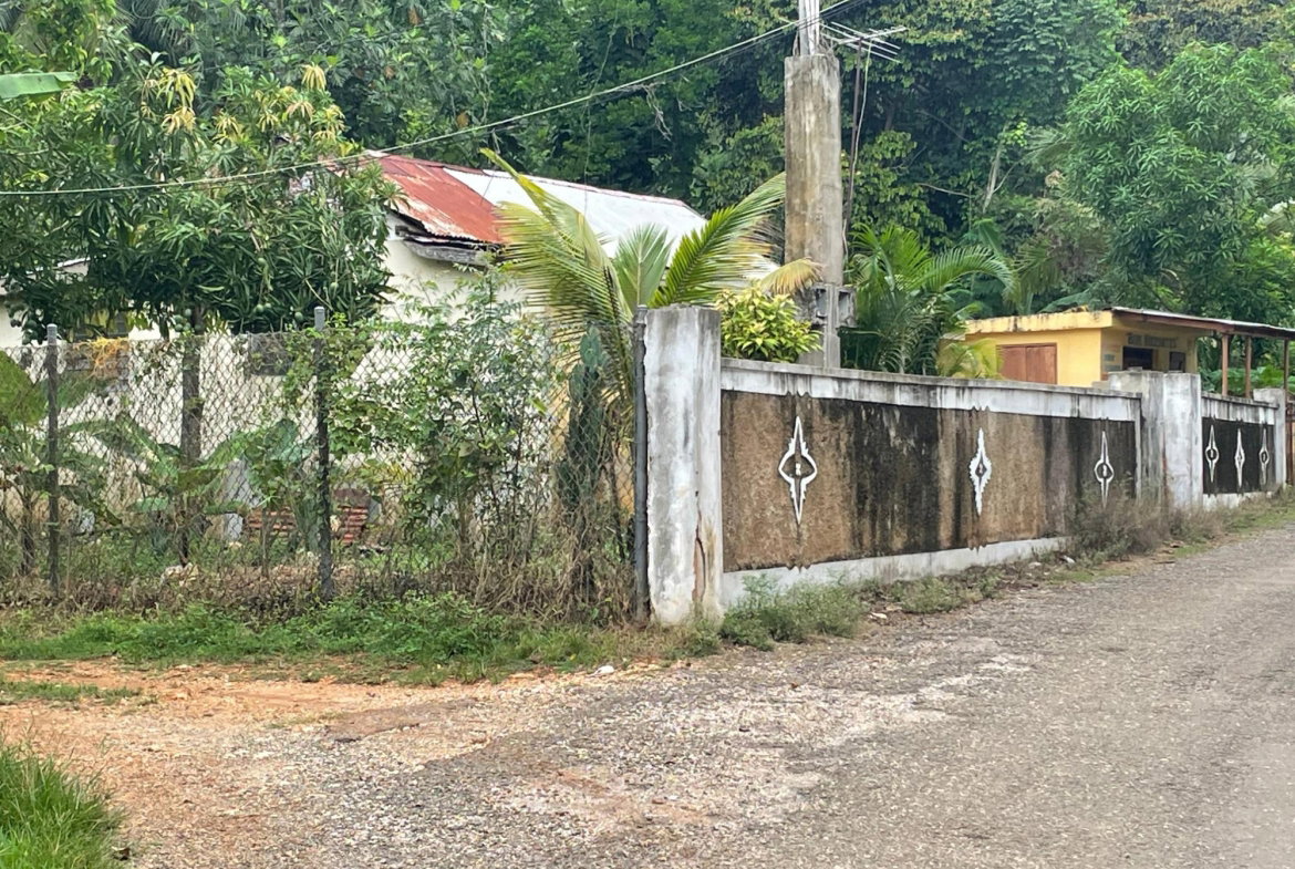 Fourteenth image of Porus Clarks Town Road in Porus, Manchester, Jamaica - property is For Sale