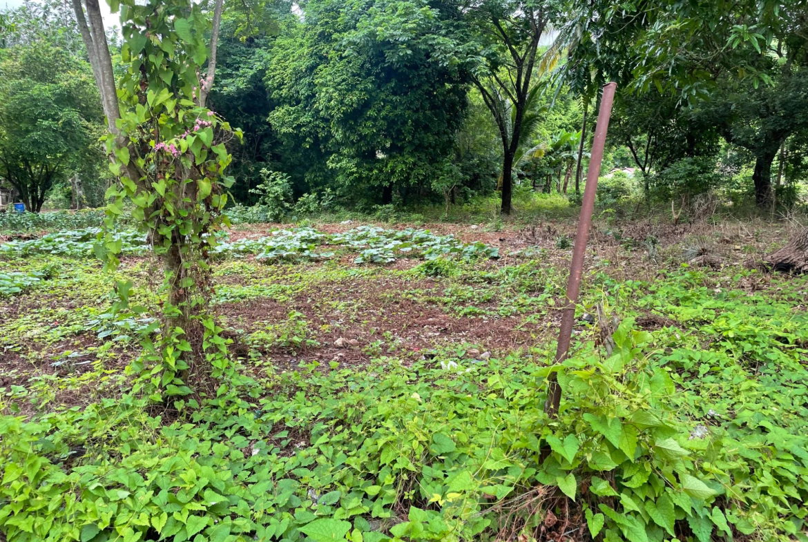Fifteenth image of Porus Clarks Town Road in Porus, Manchester, Jamaica - property is For Sale