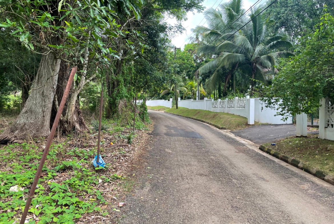 Sixteenth image of Porus Clarks Town Road in Porus, Manchester, Jamaica - property is For Sale