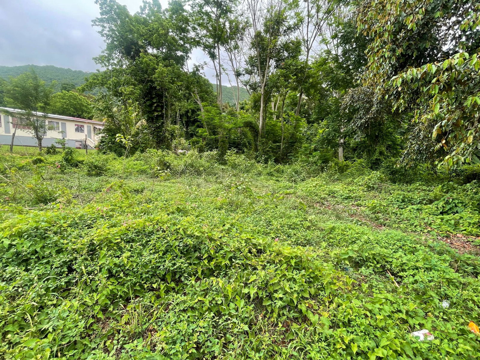 Residential-Lot-for-Sale-in-Porus-Manchester-Spacious-Secure-Community Third image of Porus Clarks Town Road in Porus, Manchester, Jamaica - property is For Sale