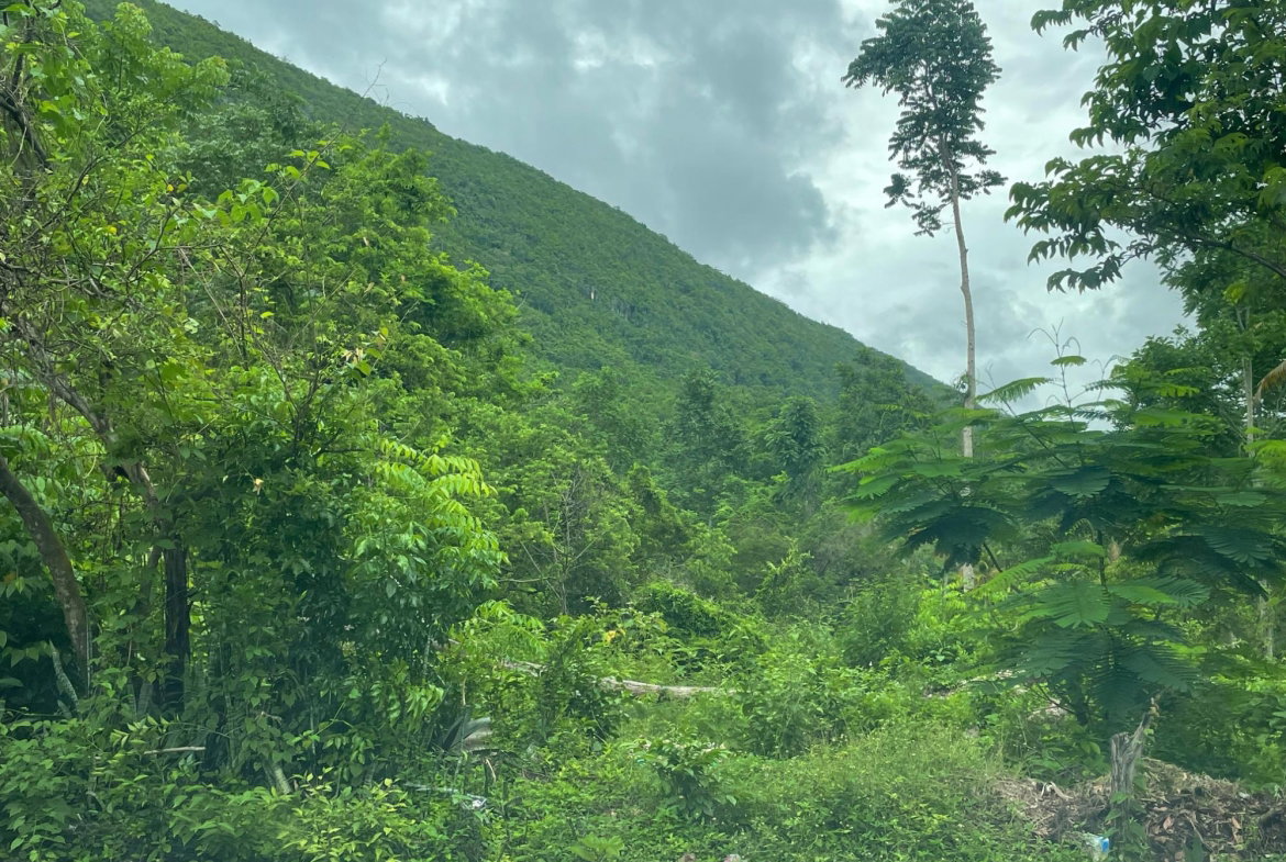 Fourth image of Porus Clarks Town Road in Porus, Manchester, Jamaica - property is For Sale