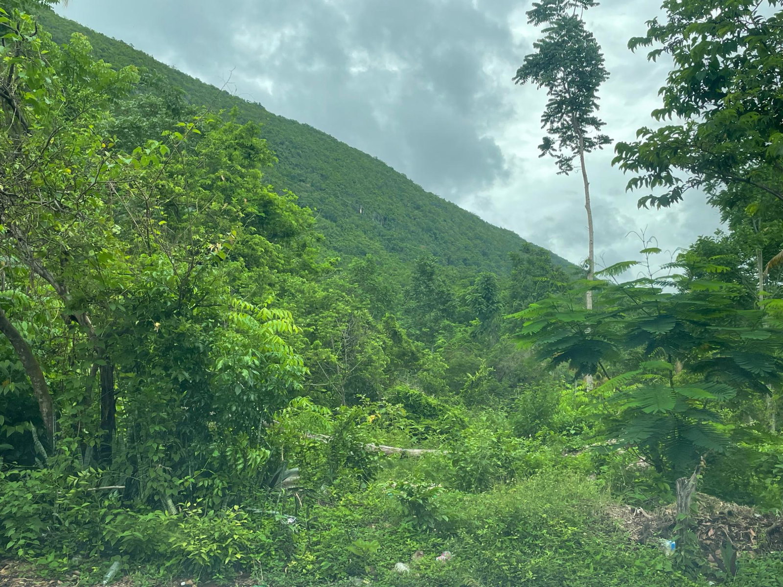Residential-Lot-for-Sale-in-Porus-Manchester-Spacious-Secure-Community Fourth image of Porus Clarks Town Road in Porus, Manchester, Jamaica - property is For Sale