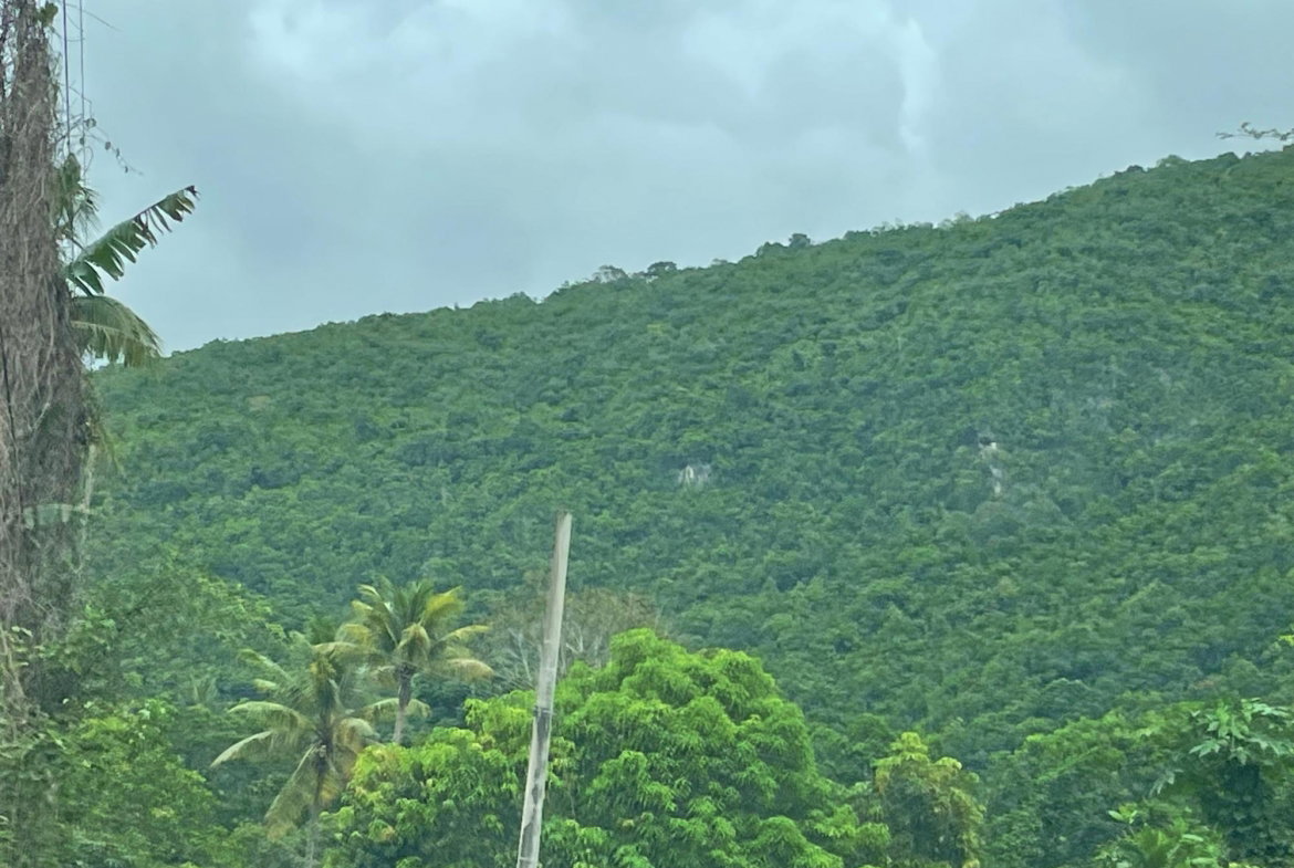 Fifth image of Porus Clarks Town Road in Porus, Manchester, Jamaica - property is For Sale