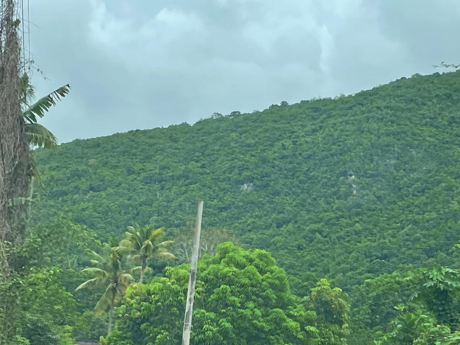 Residential-Lot-for-Sale-in-Porus-Manchester-Spacious-Secure-Community Fifth image of Porus Clarks Town Road in Porus, Manchester, Jamaica - property is For Sale