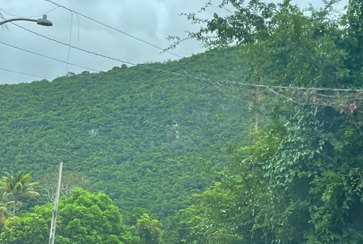 Sixth image of Porus Clarks Town Road in Porus, Manchester, Jamaica - property is For Sale