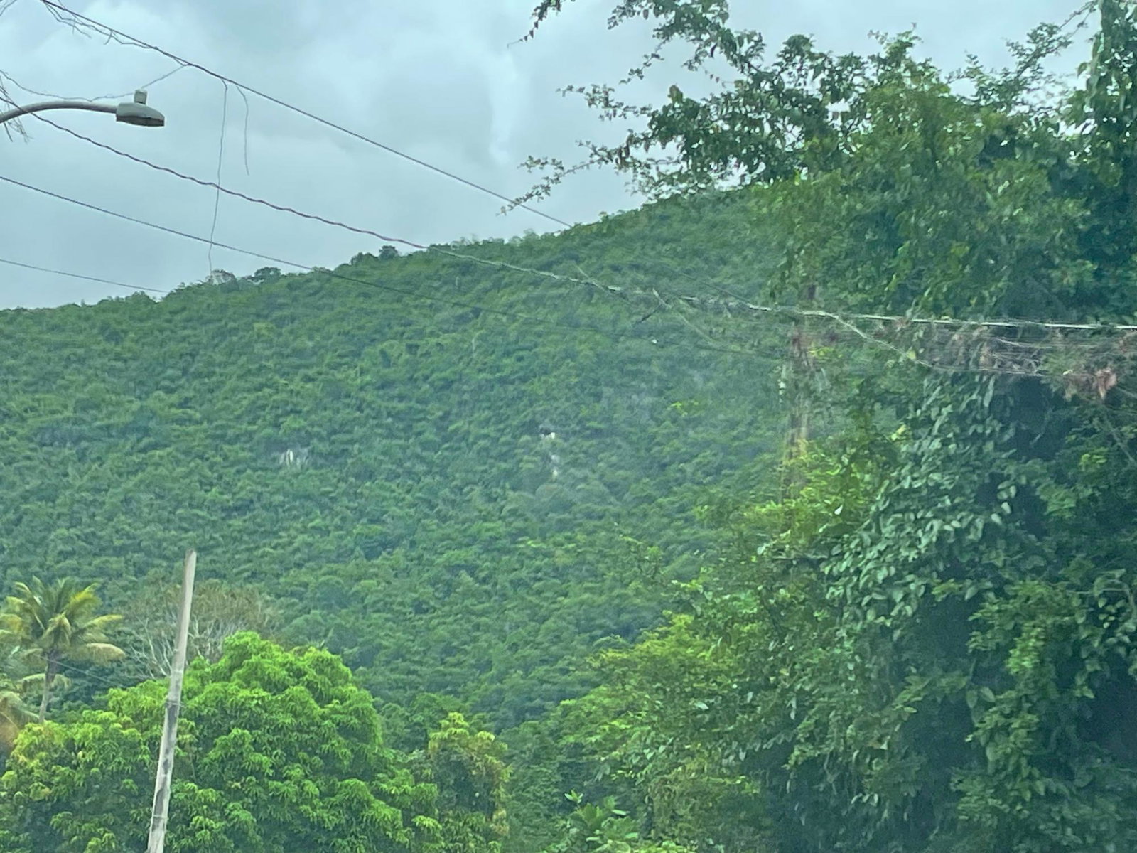 Residential-Lot-for-Sale-in-Porus-Manchester-Spacious-Secure-Community Sixth image of Porus Clarks Town Road in Porus, Manchester, Jamaica - property is For Sale