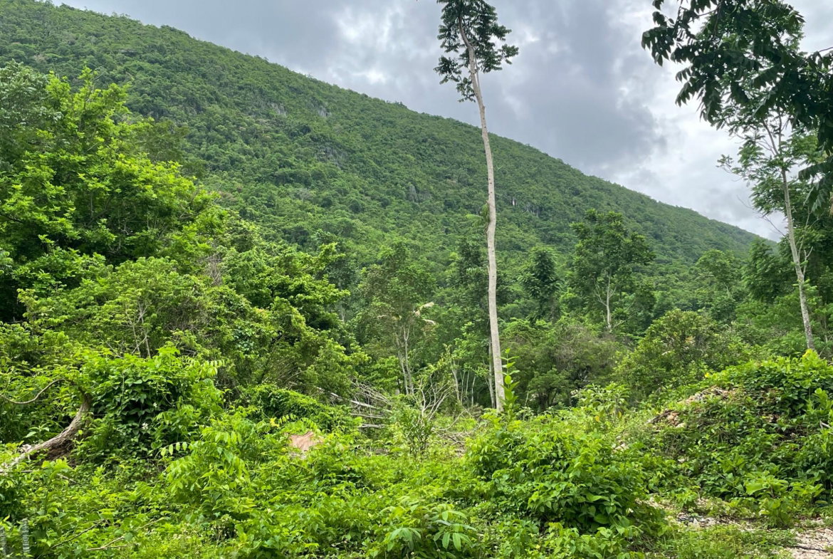 Seventh image of Porus Clarks Town Road in Porus, Manchester, Jamaica - property is For Sale